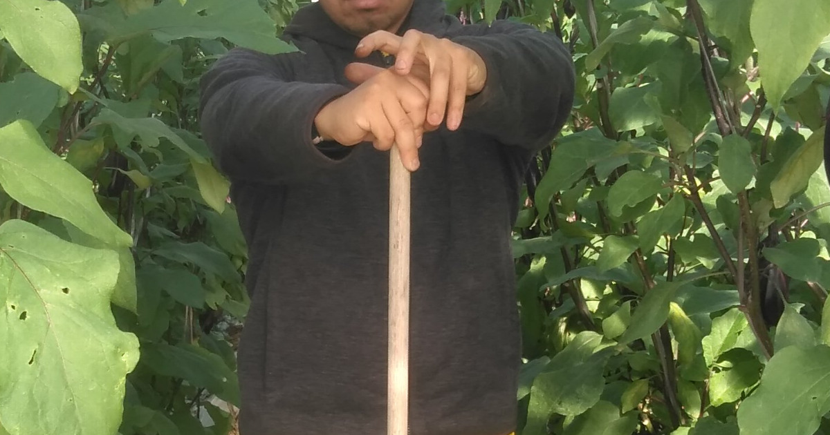 なぜ農業の情勢が厳しい今 ビニールハウスを新しく建てるのか 就農生き残りブログ